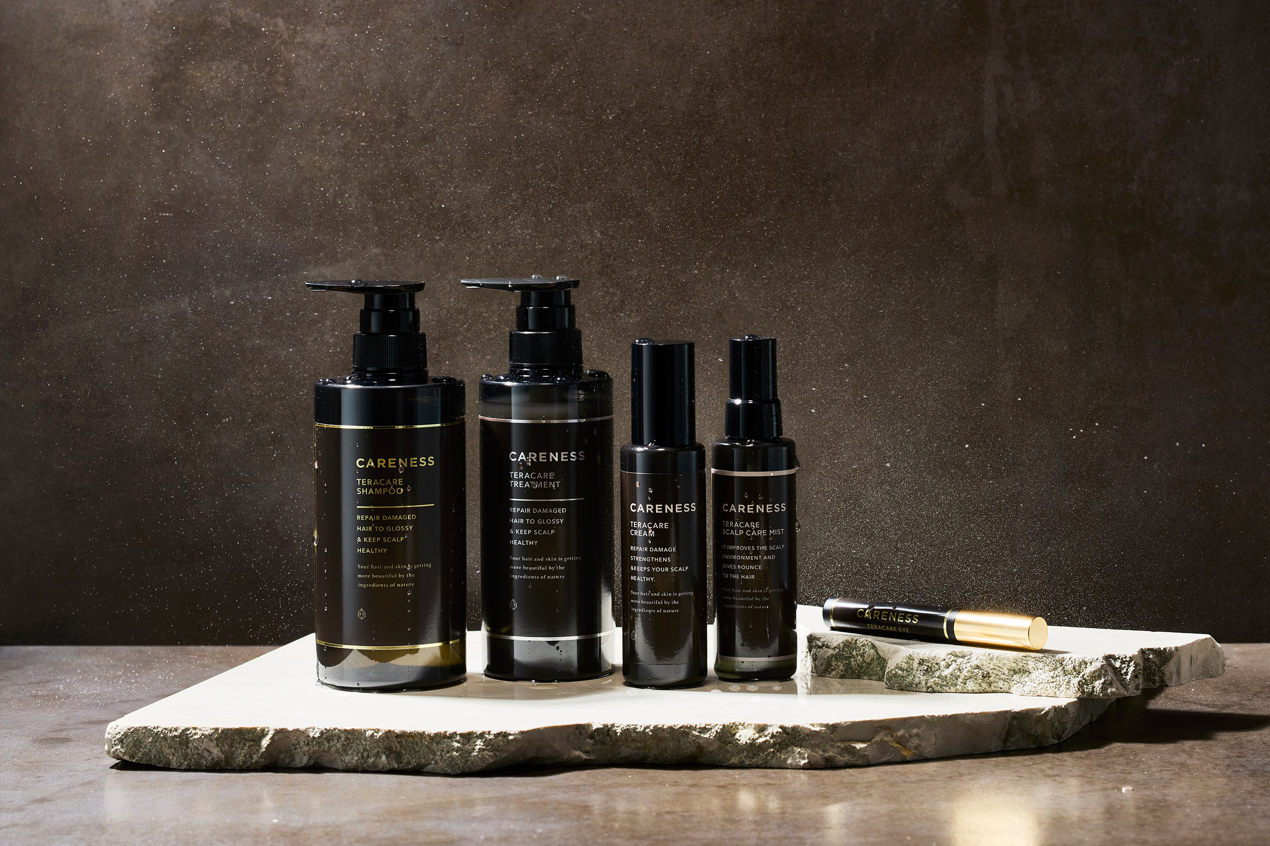 CARENESS トリートメント 2個セット CARENESS テラケアトリートメント 2個セット CARENESS（ケアネス